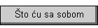 Što ću sa sobom
