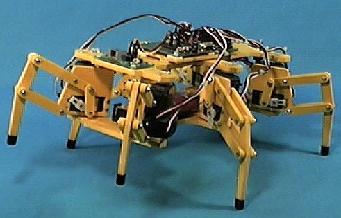 manta.jpg (37255 bytes)