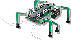 stampbug.jpg (7746 bytes)